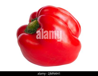 Eine rote Paprika isoliert auf weißem Hintergrund Stockfoto