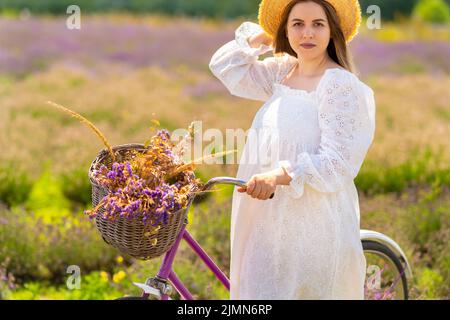 Frau im hübschen weißen Sommerkleid, die mit frisch gepflücktem Lavendel im Korb ein Fahrrad entlang einer ländlichen Straße schiebt Stockfoto