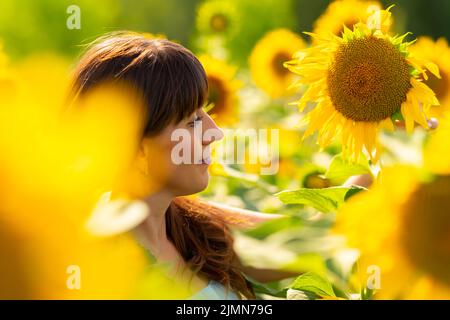 Eine aufdringliche Brünette, die durch ein Feld von großen, leuchtend gelben Sonnenblumen mit Blick auf ihr lächelndes Gesicht geht Stockfoto