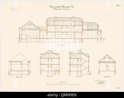 Weißgerber Otto, Universität Münster. Botanisches Institut (1914): Längsschnitt, Querschnitte 1: 100. Lithographie, 61,1 x 82,3 cm (einschließlich Scankanten) Stockfoto