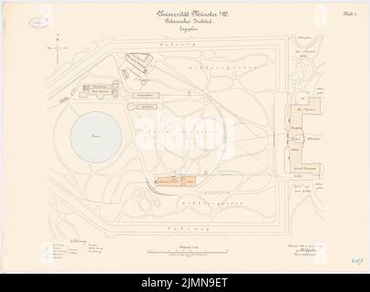 Weißgerber Otto, Universität Münster. Botanisches Institut (1914): Abteilung 1: 625. Lithographie, 61 x 82,4 cm (einschließlich Scankanten) Stockfoto