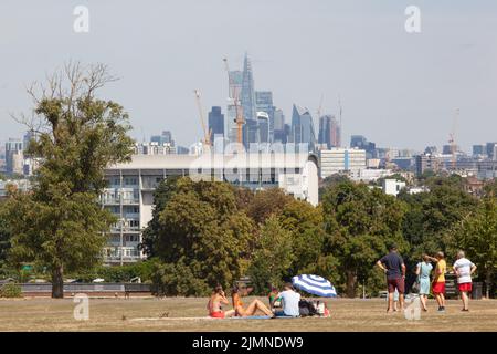 London, Großbritannien, 7. August 2022: Der Brockwell Park im Süden Londons mit Blick auf Wolkenkratzer in der Stadt ist fast vollständig braun, da Gras im letzten Monat fast ohne Niederschläge verendet ist. Da die Dürre Südostengland trifft, gibt es Bedenken hinsichtlich der Gefahr von Stadtbränden und fordert Wasserunternehmen auf, Rohrleitungsverbote zu verhängen, um ökologische Schäden an Wildtieren in Flüssen mit außergewöhnlich niedrigem Fluss zu verhindern. Anna Watson/Alamy Live News Stockfoto