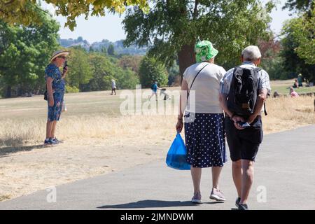 London, Großbritannien, 7. August 2022: Der Brockwell Park im Süden Londons mit Blick auf Wolkenkratzer in der Stadt ist fast vollständig braun, da Gras im letzten Monat fast ohne Niederschläge verendet ist. Da die Dürre Südostengland trifft, gibt es Bedenken hinsichtlich der Gefahr von Stadtbränden und fordert Wasserunternehmen auf, Rohrleitungsverbote zu verhängen, um ökologische Schäden an Wildtieren in Flüssen mit außergewöhnlich niedrigem Fluss zu verhindern. Anna Watson/Alamy Live News Stockfoto