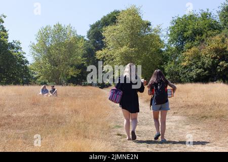 London, Großbritannien, 7. August 2022: Der Brockwell Park im Süden Londons mit Blick auf Wolkenkratzer in der Stadt ist fast vollständig braun, da Gras im letzten Monat fast ohne Niederschläge verendet ist. Da die Dürre Südostengland trifft, gibt es Bedenken hinsichtlich der Gefahr von Stadtbränden und fordert Wasserunternehmen auf, Rohrleitungsverbote zu verhängen, um ökologische Schäden an Wildtieren in Flüssen mit außergewöhnlich niedrigem Fluss zu verhindern. Anna Watson/Alamy Live News Stockfoto