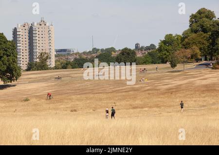 London, Großbritannien, 7. August 2022: Der Brockwell Park im Süden Londons mit Blick auf Wolkenkratzer in der Stadt ist fast vollständig braun, da Gras im letzten Monat fast ohne Niederschläge verendet ist. Da die Dürre Südostengland trifft, gibt es Bedenken hinsichtlich der Gefahr von Stadtbränden und fordert Wasserunternehmen auf, Rohrleitungsverbote zu verhängen, um ökologische Schäden an Wildtieren in Flüssen mit außergewöhnlich niedrigem Fluss zu verhindern. Anna Watson/Alamy Live News Stockfoto