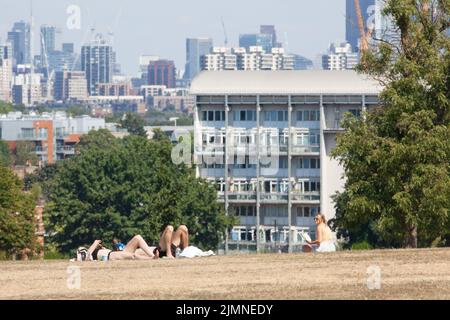 London, Großbritannien, 7. August 2022: Der Brockwell Park im Süden Londons mit Blick auf Wolkenkratzer in der Stadt ist fast vollständig braun, da Gras im letzten Monat fast ohne Niederschläge verendet ist. Da die Dürre Südostengland trifft, gibt es Bedenken hinsichtlich der Gefahr von Stadtbränden und fordert Wasserunternehmen auf, Rohrleitungsverbote zu verhängen, um ökologische Schäden an Wildtieren in Flüssen mit außergewöhnlich niedrigem Fluss zu verhindern. Anna Watson/Alamy Live News Stockfoto