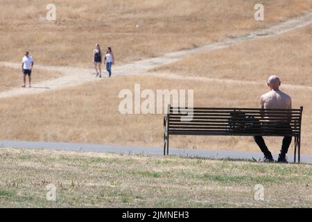 London, Großbritannien, 7. August 2022: Der Brockwell Park im Süden Londons mit Blick auf Wolkenkratzer in der Stadt ist fast vollständig braun, da Gras im letzten Monat fast ohne Niederschläge verendet ist. Da die Dürre Südostengland trifft, gibt es Bedenken hinsichtlich der Gefahr von Stadtbränden und fordert Wasserunternehmen auf, Rohrleitungsverbote zu verhängen, um ökologische Schäden an Wildtieren in Flüssen mit außergewöhnlich niedrigem Fluss zu verhindern. Anna Watson/Alamy Live News Stockfoto