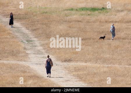 London, Großbritannien, 7. August 2022: Der Brockwell Park im Süden Londons mit Blick auf Wolkenkratzer in der Stadt ist fast vollständig braun, da Gras im letzten Monat fast ohne Niederschläge verendet ist. Da die Dürre Südostengland trifft, gibt es Bedenken hinsichtlich der Gefahr von Stadtbränden und fordert Wasserunternehmen auf, Rohrleitungsverbote zu verhängen, um ökologische Schäden an Wildtieren in Flüssen mit außergewöhnlich niedrigem Fluss zu verhindern. Anna Watson/Alamy Live News Stockfoto