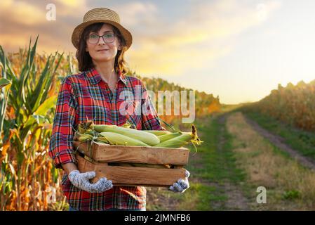 Kaukasische Arbeiterin hält eine Holzkiste mit Maiskolben und Maisfeld im Hintergrund Stockfoto