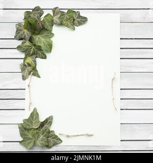 Weiß lila rosa grün Blatt hölzernen Hintergrund Stockfoto