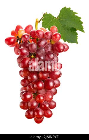 Trauben mit grünem Blatt, isoliert auf weißem Hintergrund, reif, rot, seedless. Stockfoto