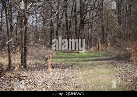 Markierter Wanderweg, der zu den Bahngleisen in einem Wald führt Stockfoto