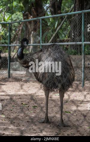 Der One Million Years Stone Park in Pattaya Thailand Stockfoto