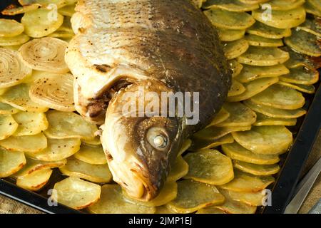 Gebackene Karpfen, ganze Fische aus dem Ofen mit Kartoffelscheiben auf einem großen Tablett traditionelle polnische Gerichte Stockfoto