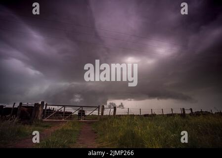 Pampas stürmische Landschaft, Provinz La Pampa, Patagonien, Argentinien. Stockfoto