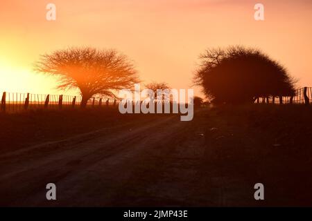 Pampas Sonnenuntergang , in der Provinz La Pampa Patagonien Argentinien. Stockfoto