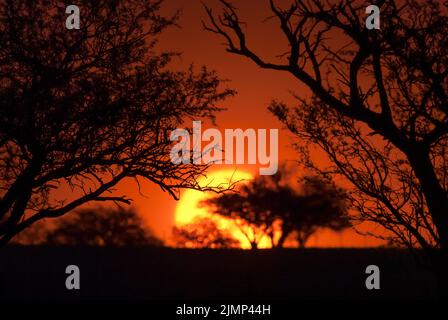 Pampas Sonnenuntergang , in der Provinz La Pampa Patagonien Argentinien. Stockfoto