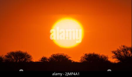 Pampas Sonnenuntergang , in der Provinz La Pampa Patagonien Argentinien. Stockfoto
