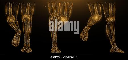 Polygonale Vektordarstellung der Anatomie menschlicher Beine. Niedrige Poly-Art-Unterschenkel auf dunklem Hintergrund. Das Fleisch und die Knochen des Th Stockfoto