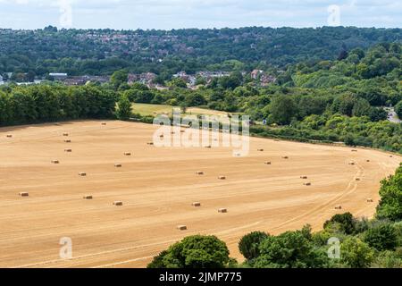 Blick auf Winchester mit Maisfeld und Heuballen im Vordergrund im August oder Sommer vom Magdaalen Hill, Hampshire, England, Großbritannien Stockfoto