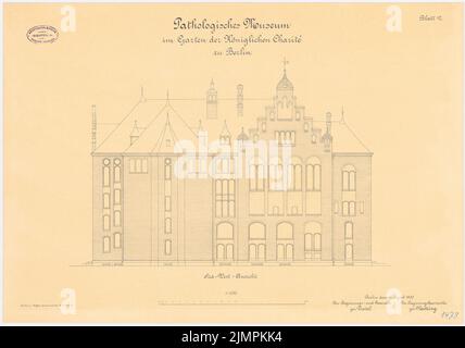 Diestel Georg (1854-1926), Pathologisches Museum der Charité, Berlin (ca. 1900): SW-Ansicht 1: 100. Lithographie auf Karton, 46,6 x 66,6 cm (inklusive Scan-Kanten) Diestel Georg (1854-1926): Pathologisches Museum der Charité, Berlin Stockfoto