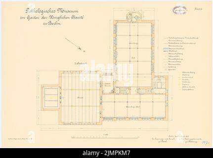 Diestel Georg (1854-1926), Pathologisches Museum der Charité, Berlin (ca. 1900): Grundriss 3. Etage 1: 100. Lithographie auf Karton, 46,6 x 67 cm (inklusive Scan-Kanten) Diestel Georg (1854-1926): Pathologisches Museum der Charité, Berlin Stockfoto