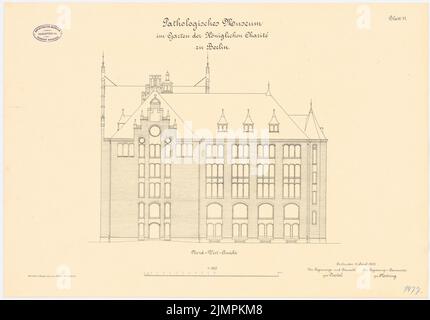 Diestel Georg (1854-1926), Pathologisches Museum der Charité, Berlin (ca. 1900): NW-Ansicht 1: 100. Lithographie auf der Schachtel, 46,6 x 66,7 cm (inklusive Scankanten) Diestel Georg (1854-1926): Pathologisches Museum der Charité, Berlin Stockfoto
