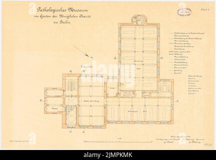Diestel Georg (1854-1926), Pathologisches Museum der Charité, Berlin (ca. 1900): Grundriss Erdboden 1: 100. Lithographie auf Karton, 46,7 x 67,1 cm (inklusive Scan-Kanten) Diestel Georg (1854-1926): Pathologisches Museum der Charité, Berlin Stockfoto
