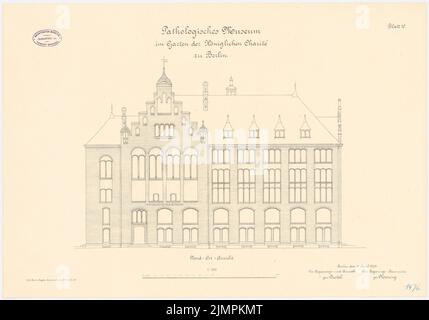 Diestel Georg (1854-1926), Pathologisches Museum der Charité, Berlin (ca. 1900): KEINE Ansicht 1: 100. Lithographie auf der Schachtel, 46,7 x 66,8 cm (inklusive Scankanten) Diestel Georg (1854-1926): Pathologisches Museum der Charité, Berlin Stockfoto