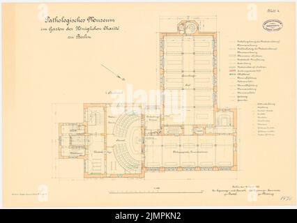 Diestel Georg (1854-1926), Pathologisches Museum der Charité, Berlin (ca. 1900): Grundriß 1: 100. Lithographie auf Karton, 47,1 x 66,9 cm (inklusive Scan-Kanten) Diestel Georg (1854-1926): Pathologisches Museum der Charité, Berlin Stockfoto