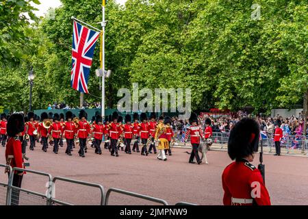 Das erste Bataillon Irish Guards nimmt zusammen mit „Seamus“, ihrem irischen Wolfhound-Maskottchen, an der Queen's Birthday Parade, London, UK, Teil. Stockfoto