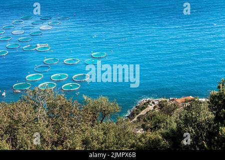 Fischfarm mit schwimmenden Käfigen in Griechenland Stockfoto