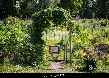 Lapinlahden viljelyspalstat oder Lapinlahti Gemeinschaftsgarten oder Lapinlahti Zuteilung Tor in Helsinki, Finnland Stockfoto