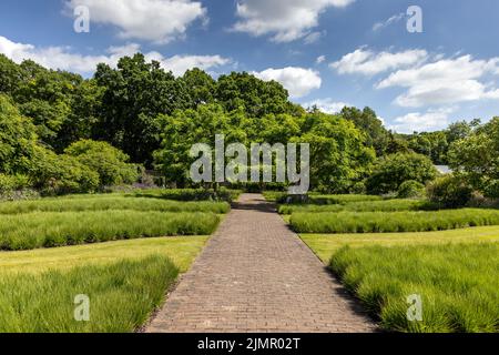 Scampston Hall Walled Garden, North Yorkshire, im Sommer. Ein 4 Hektar großer moderner Garten, der von Piet Oudolf entworfen wurde. Stockfoto