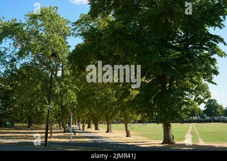 Markfield Park, South Tottenham, London, Großbritannien, im Spätsommer 2022 Stockfoto