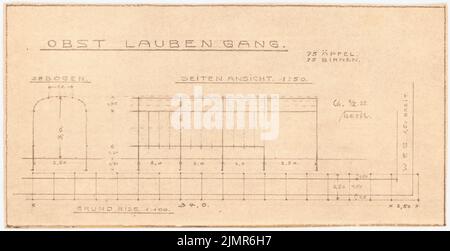 Barth Erwin (1880-1933), Obstgartendurchgang (02.10.1925): Obstauga-Kanal im Grundriß 1: 100, Teilseitenansicht und Querschnitt 1:50, mit Abmessung. Leichter Bruch auf Papier, 21,7 x 42,2 cm (inklusive Scankanten) Barth Erwin (1880-1933): Obstlaubengang Stockfoto