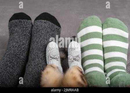 Nahaufnahme der Beine einer Familie mit einer Katze und farbigen Socken auf dem Bett. Stockfoto