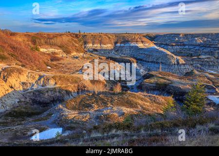 Die Badlands des Horseshoe Canyon in der Nähe von Drumheller, Alberta Stockfoto