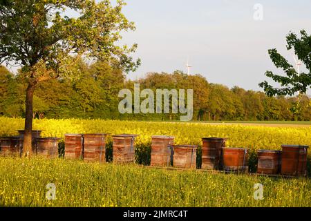 Ein Wiesengarten in Hohenlohe, Baden-WÃ¼rttemberg, Deutschland, Europa Stockfoto