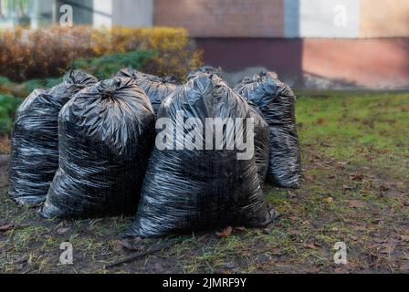 Schwarze Plastiktüten voller Herbstblätter. Stockfoto