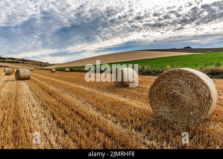 Eine ländliche Sussex-Ansicht mit Heuballen auf einem Feld Stockfoto