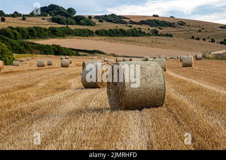 Heuballen in den South Downs an einem sonnigen Sommerabend, mit Fokus auf den Vordergrund Stockfoto