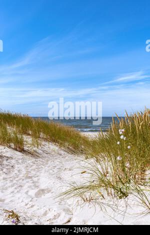 Sandweg durch die Dünen, die zum Strand führen. Sandstrand, Ostsee Stockfoto