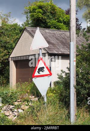 Eine dreieckige Kröte, die das Verkehrswarnschild auf einer Landstraße in cumbria überquert Stockfoto