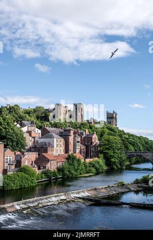 DURHAM, ENGLAND - 3.. JULI 2022: Blick auf die Häuser entlang des Flusses Wear, das Schloss und die Kathedrale in Durham an einem sonnigen Sommernachmittag Stockfoto