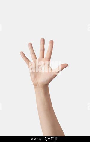 Auf den Fingern zählen, vier Innenhandflächen. Stockfoto