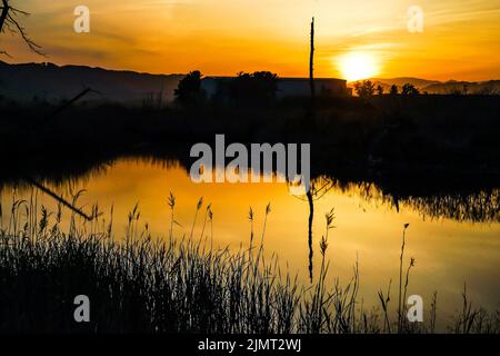 Bäume spiegeln sich am Abend und die Wasseroberfläche Stockfoto