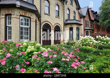 Gut erhaltene viktorianische Reihenhäuser mit wunderschönen Blumen im Vorgarten Stockfoto