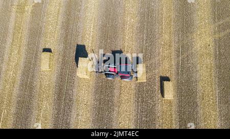 Erntemaschinen arbeiten auf dem Feld. Draufsicht von der Drohne Mähdrescher Landwirtschaftliche Maschine Fahrt auf dem Feld Stockfoto