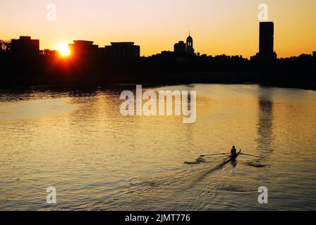 Auf dem Charles River zwischen Boston und Massachusetts ruht ein eineiiger Skuller, und die Sonne geht über der Harvard University auf Stockfoto